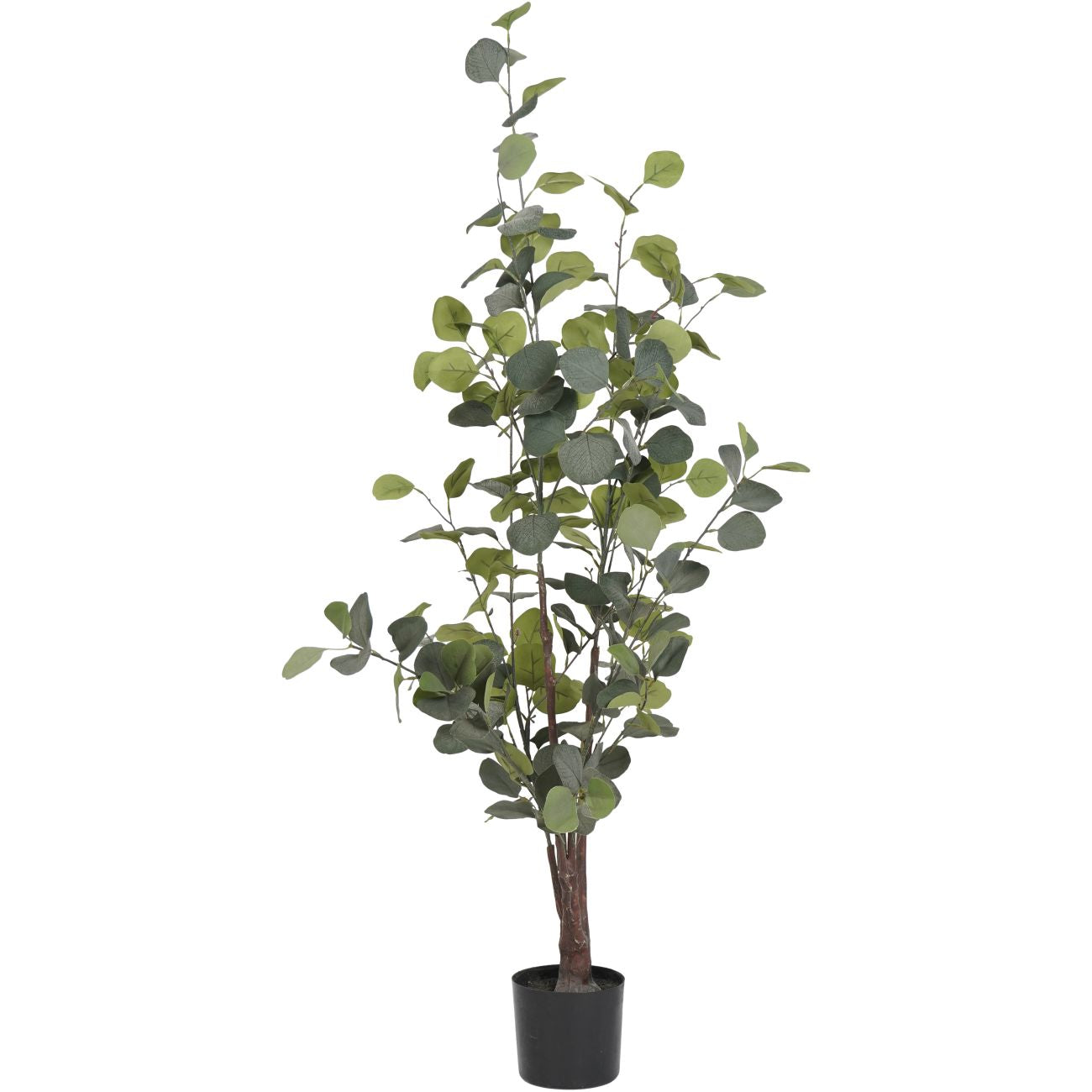 Artificial Eucalyptus Plant 4ft Large